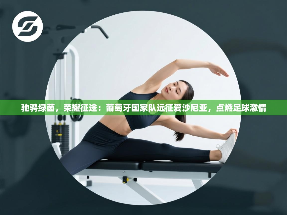 驰骋绿茵,荣耀征途:葡萄牙国家队远征爱沙尼亚,点燃足球激情 第1张