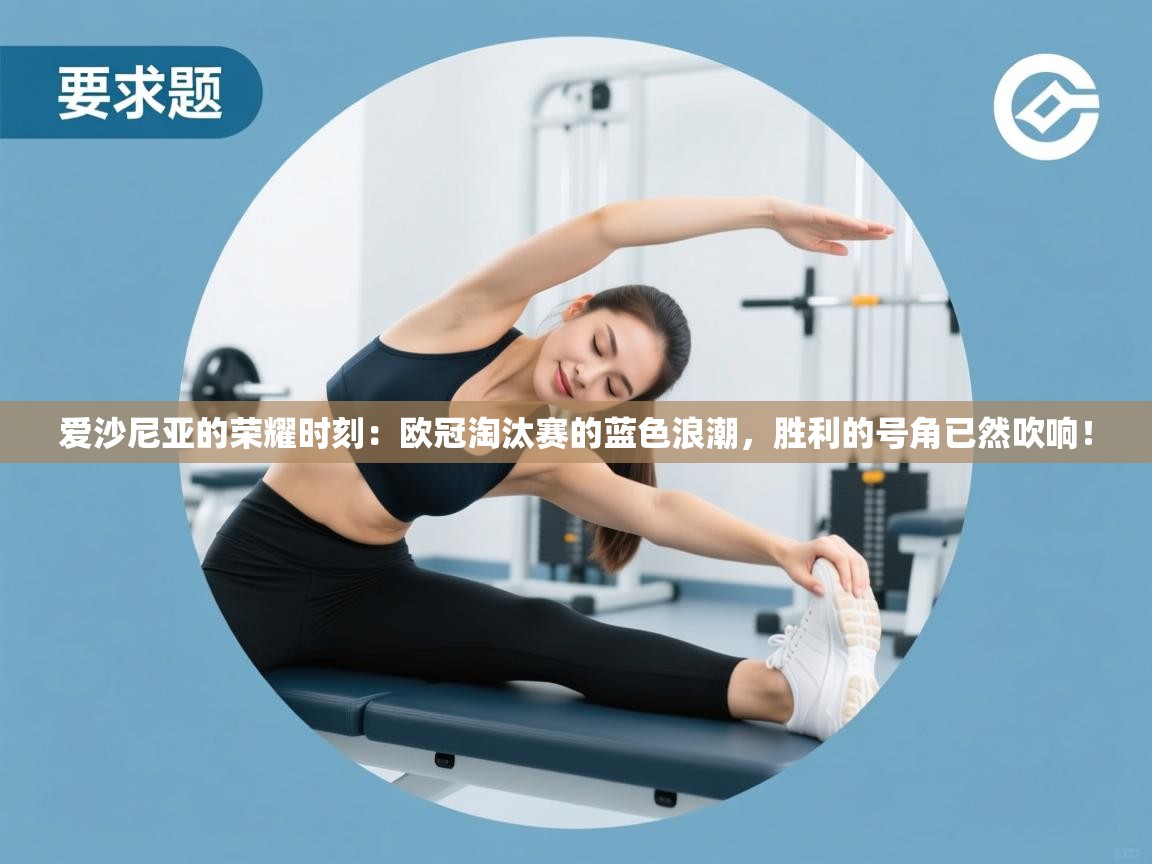 爱沙尼亚的荣耀时刻:欧冠淘汰赛的蓝色浪潮,胜利的号角已然吹响! 第2张