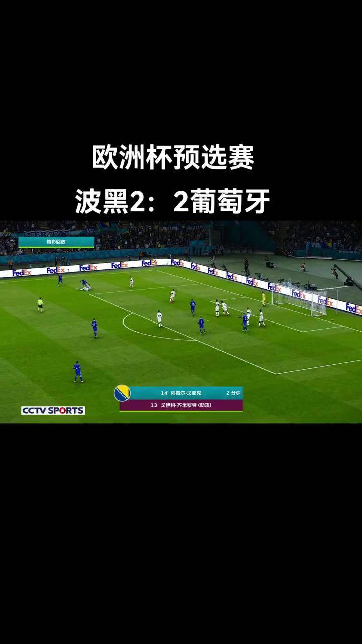 包含摩洛哥队实力击败波黑，成功晋级欧洲预选赛半决赛的词条