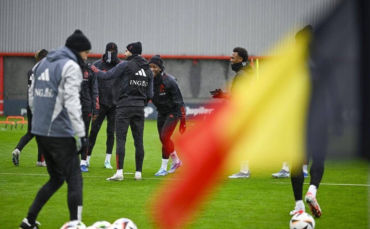 开云体育在线登录-奥地利足球队球员积极参与公益活动